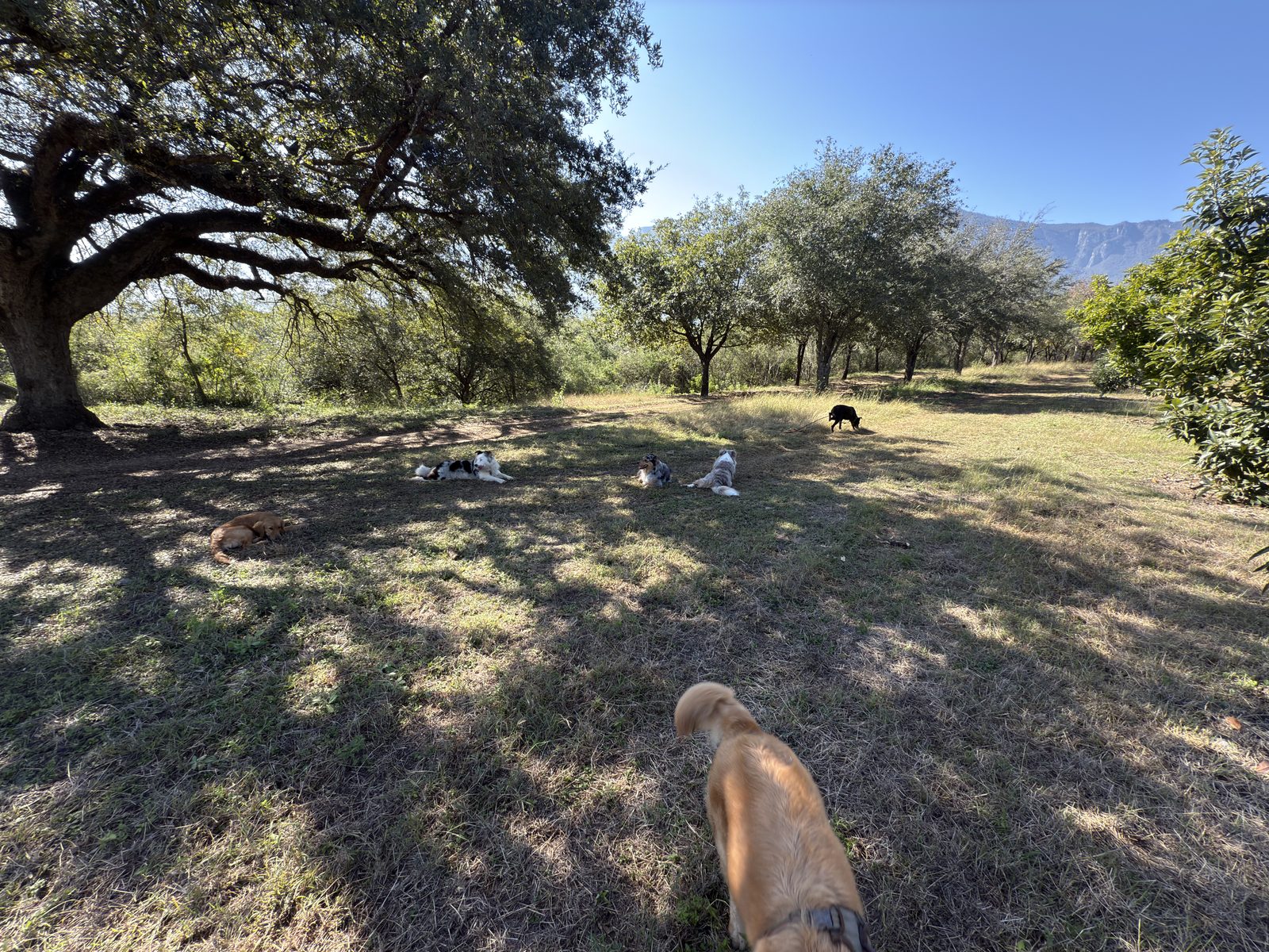 Zona de paseos amplia — 10 hectáreas para explorar